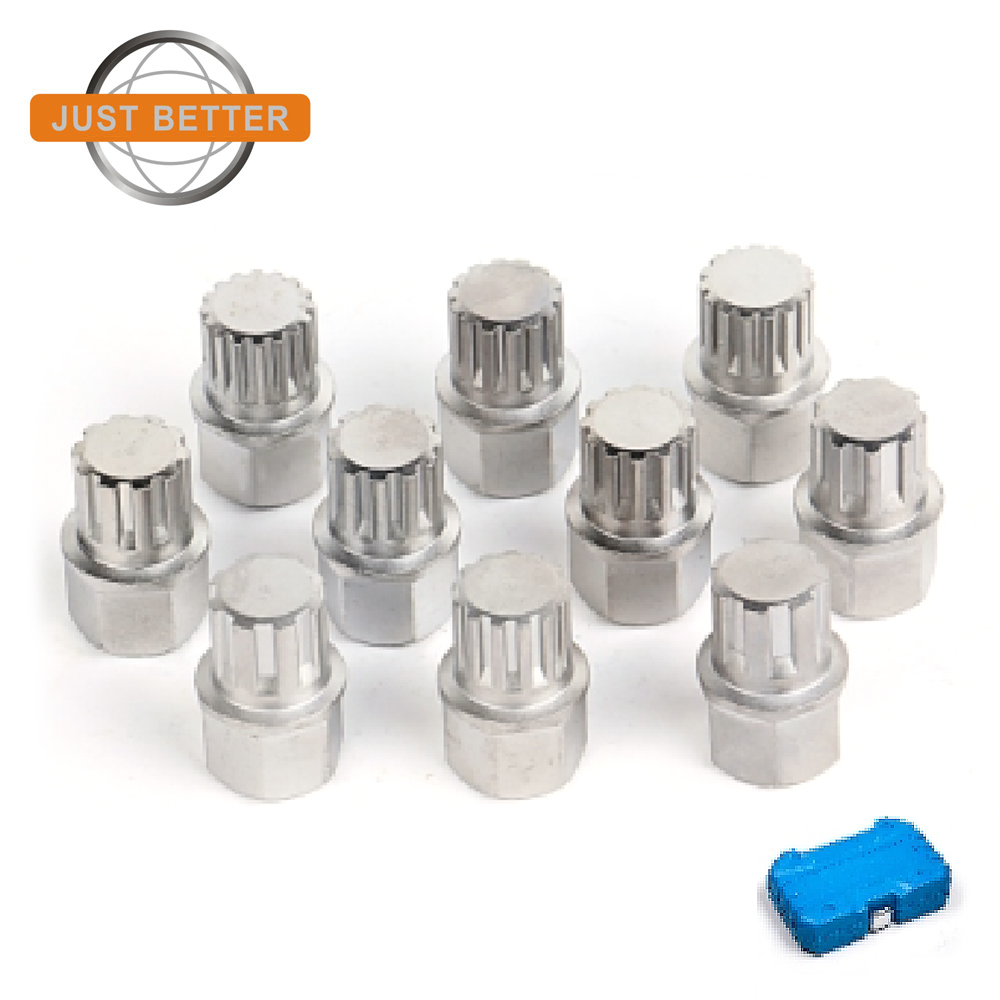 10pcs BMW wheel lock screw socket set,wheel lock adaptor               